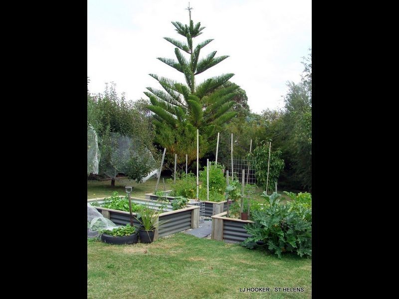 3 Silver Street, Scamander TAS 7215