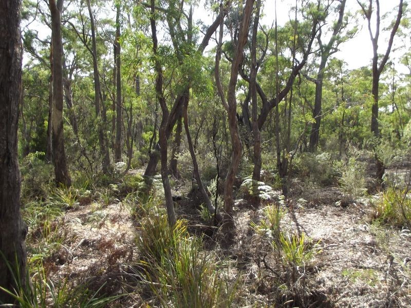 C/T 54474 Eriksons Road, Goshen TAS 7216