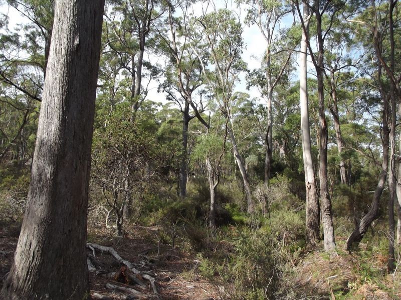 C/T 54474 Eriksons Road, Goshen TAS 7216