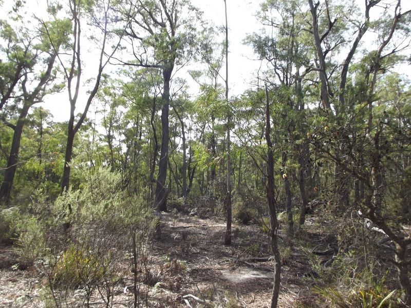 C/T 54474 Eriksons Road, Goshen TAS 7216