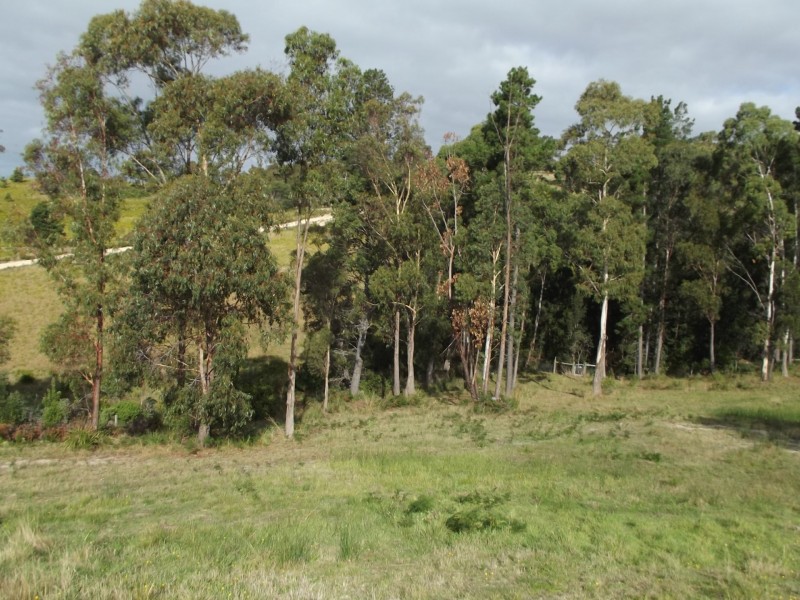 21 Bayvista Rise, St Helens TAS 7216