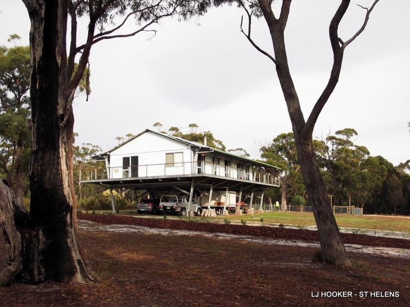 813 Reids Road, Binalong Bay TAS 7216