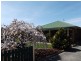6 Lindsay Parade, St Helens TAS 7216