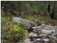 289 Davis Gully Rd, Four Mile Creek TAS 7215
