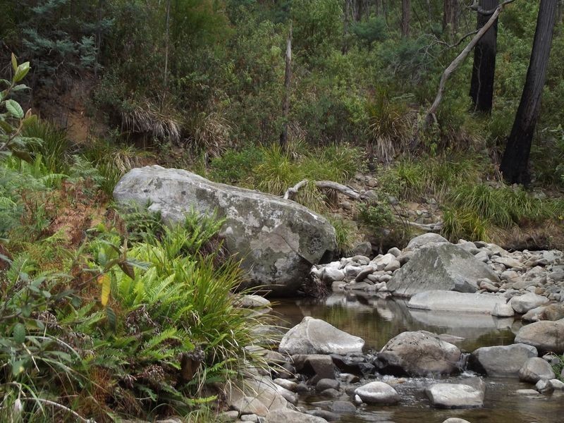 289 Davis Gully Rd, Four Mile Creek TAS 7215