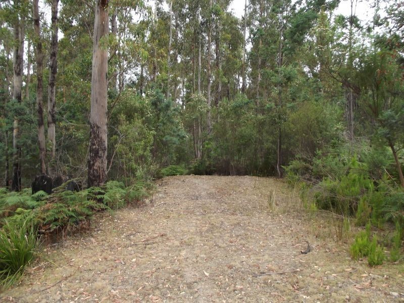 289 Davis Gully Rd, Four Mile Creek TAS 7215