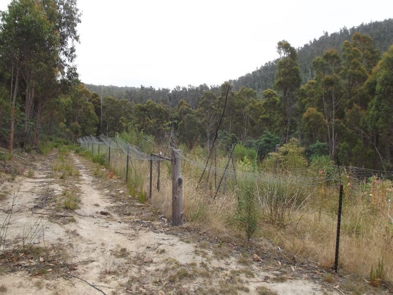 289 Davis Gully Rd, Four Mile Creek TAS 7215