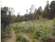 289 Davis Gully Rd, Four Mile Creek TAS 7215