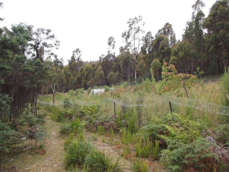 289 Davis Gully Rd, Four Mile Creek TAS 7215