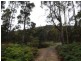 289 Davis Gully Rd, Four Mile Creek TAS 7215