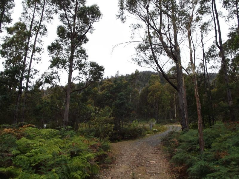289 Davis Gully Rd, Four Mile Creek TAS 7215