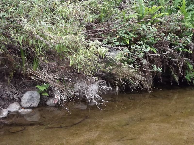 289 Davis Gully Rd, Four Mile Creek TAS 7215