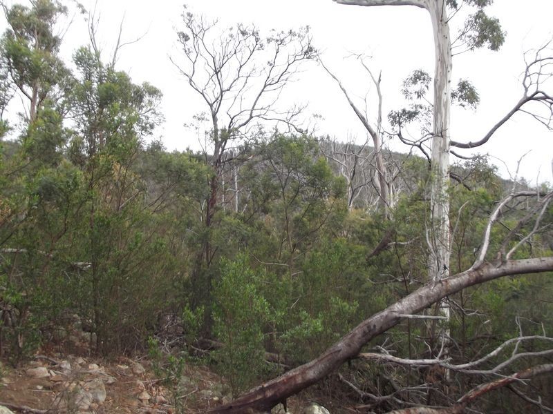 3/PID 189075 Davis Gully Road, Four Mile Creek TAS 7215