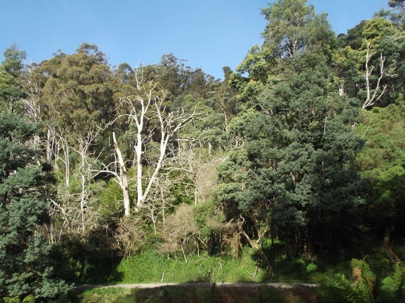 PID 680567 Lottah Road, Goulds Country TAS 7216