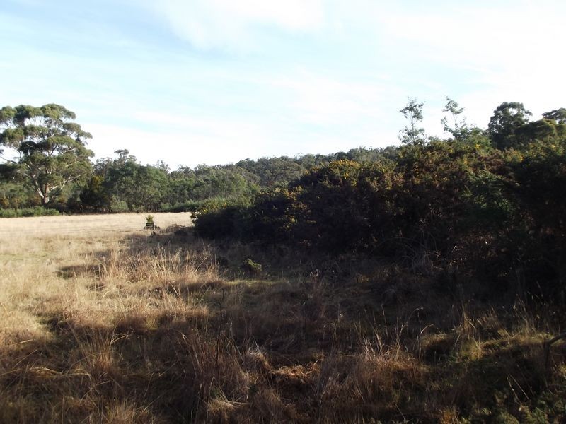 PID 267955 Elizabeth Street, Mangana TAS 7214