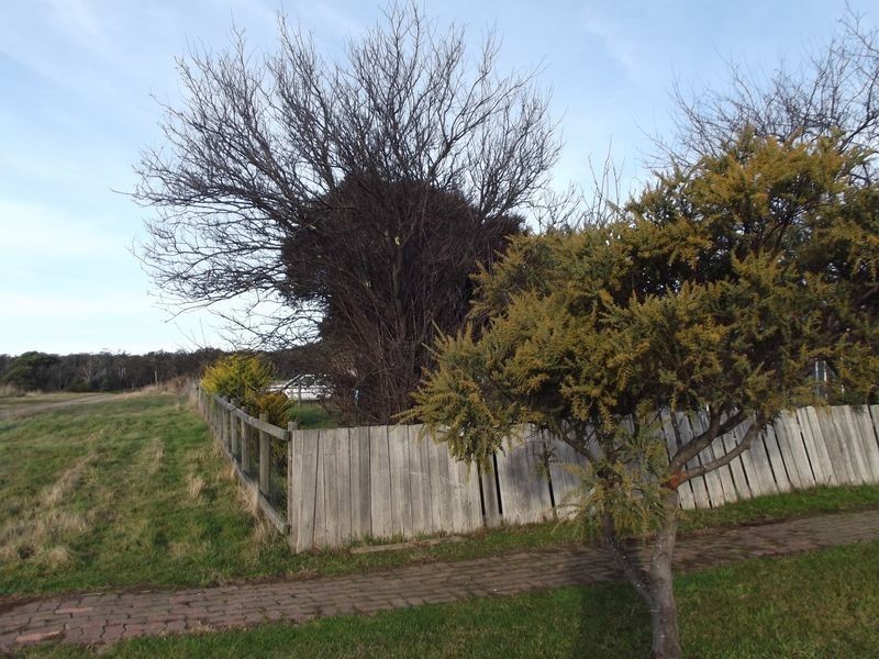 PID 641555 High Street, Mathinna TAS 7214