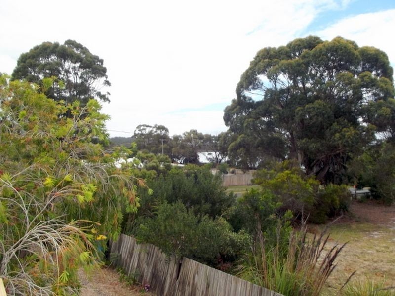 170 Main Road, Binalong Bay TAS 7216
