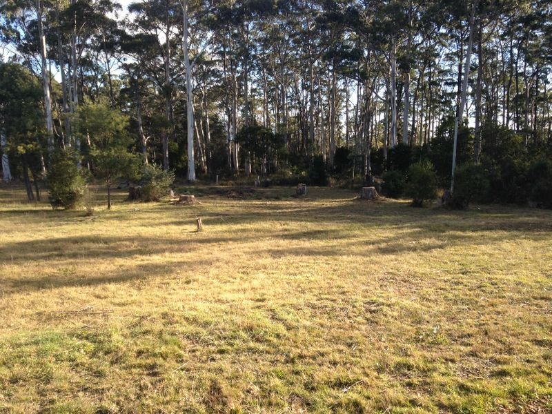 12 Gray Road, St Marys TAS 7215