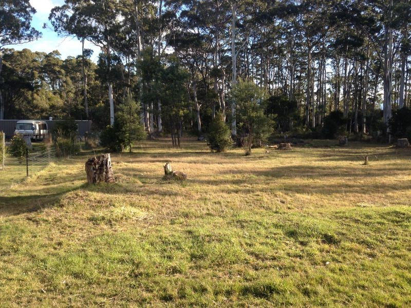 12 Gray Road, St Marys TAS 7215