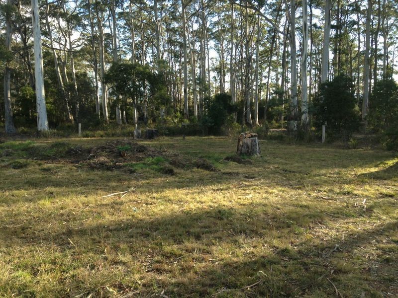 12 Gray Road, St Marys TAS 7215