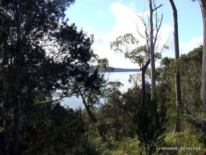 53 St Helens Point Road, Stieglitz TAS 7216