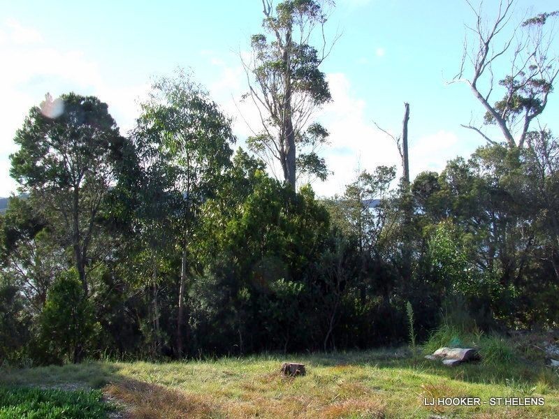 53 St Helens Point Road, Stieglitz TAS 7216