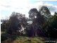 53 St Helens Point Road, Stieglitz TAS 7216