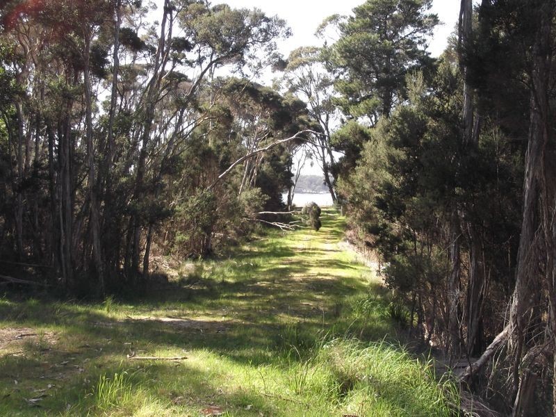 46 Tasman Highway, St Helens TAS 7216