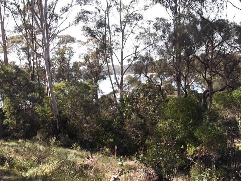 46 Tasman Highway, St Helens TAS 7216