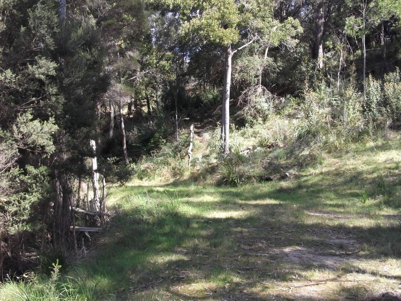 46 Tasman Highway, St Helens TAS 7216