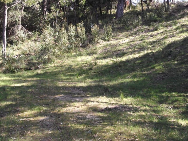 46 Tasman Highway, St Helens TAS 7216