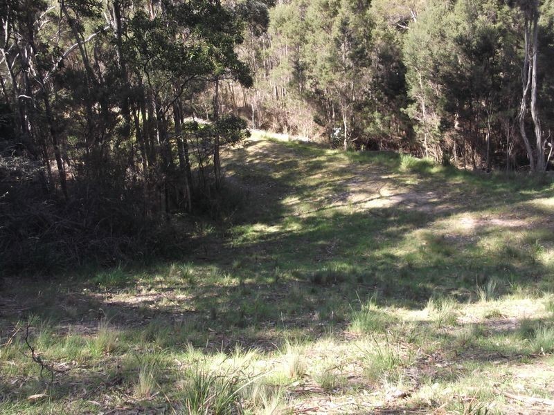 46 Tasman Highway, St Helens TAS 7216