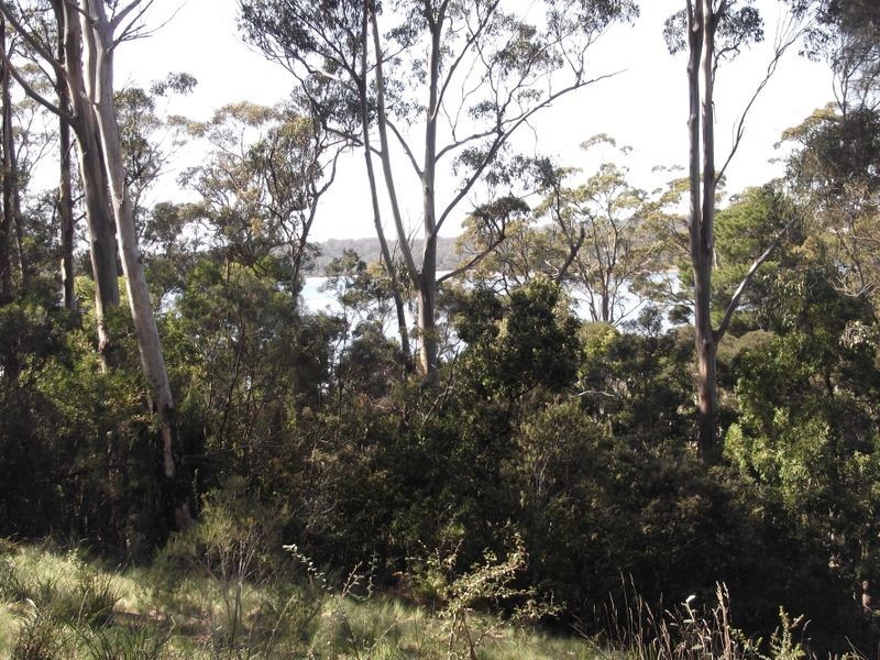 46 Tasman Highway, St Helens TAS 7216