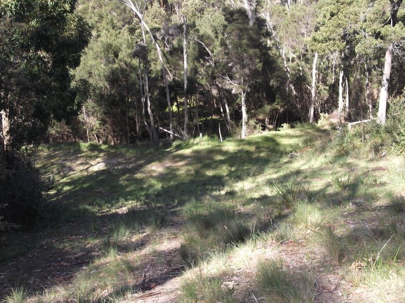 46 Tasman Highway, St Helens TAS 7216