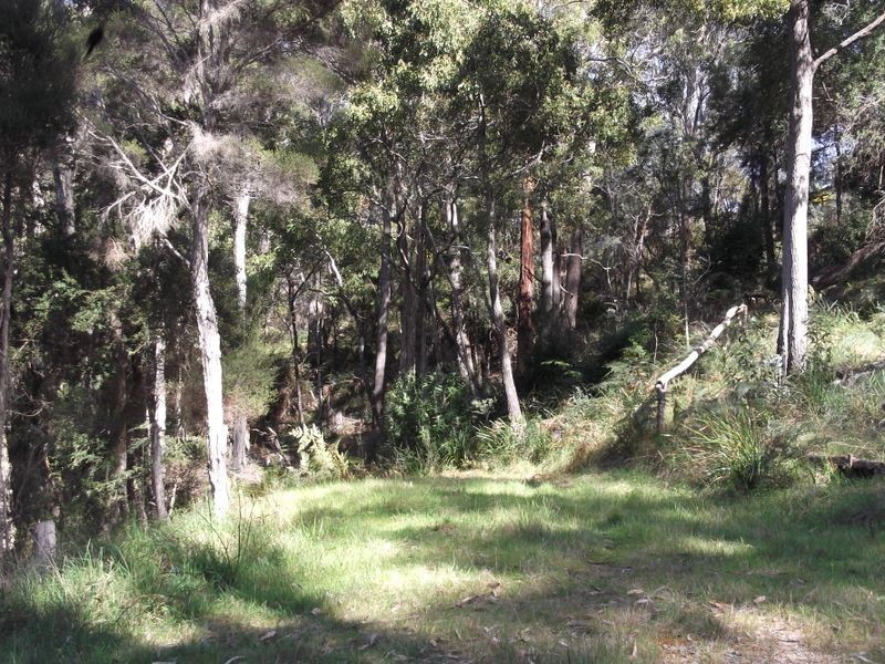 46 Tasman Highway, St Helens TAS 7216