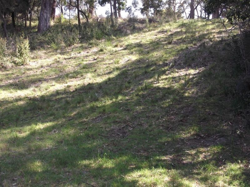 46 Tasman Highway, St Helens TAS 7216