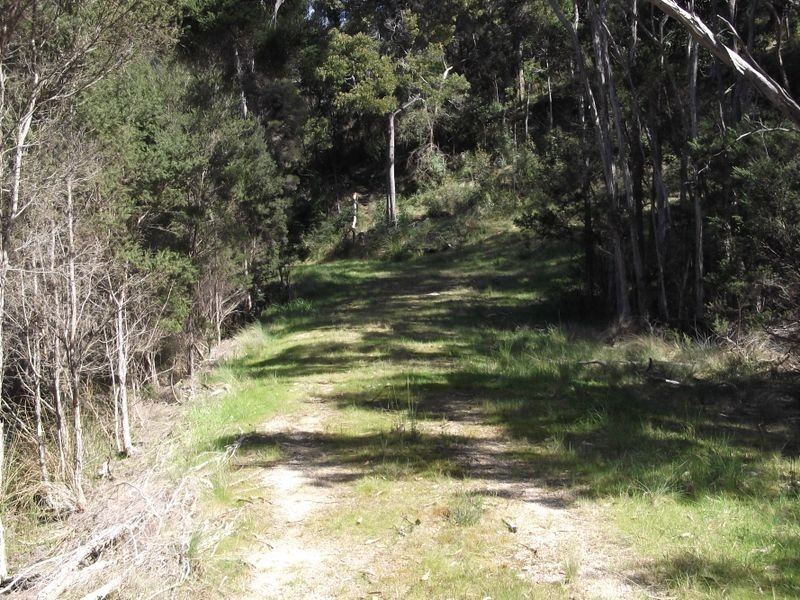 46 Tasman Highway, St Helens TAS 7216