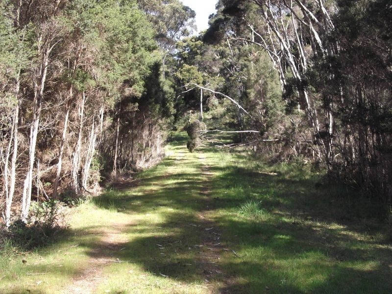 46 Tasman Highway, St Helens TAS 7216