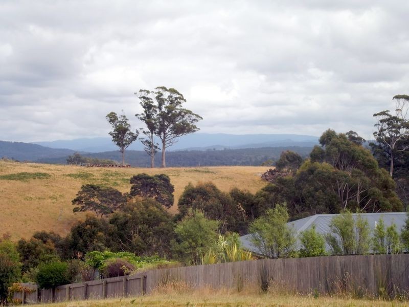 12 Susan Court, St Helens TAS 7216