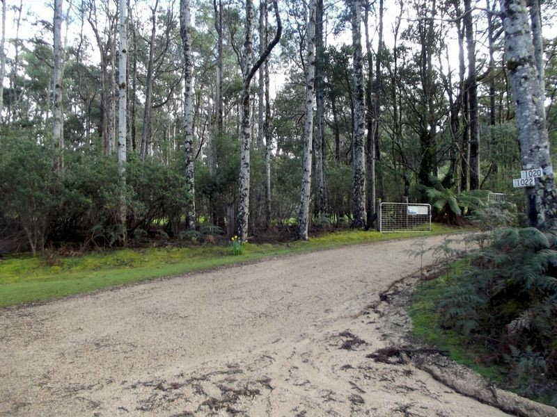 1062 Lottah Road, Lottah TAS 7216