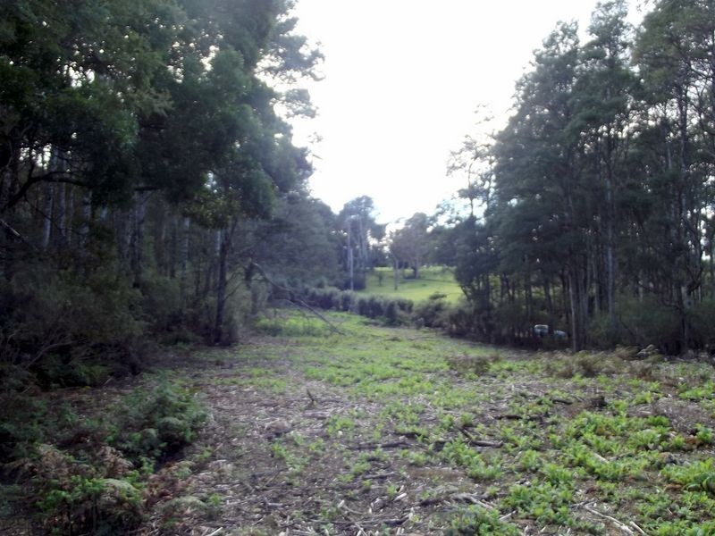 1062 Lottah Road, Lottah TAS 7216