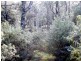 1062 Lottah Road, Lottah TAS 7216