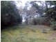 1062 Lottah Road, Lottah TAS 7216