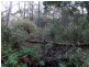 1062 Lottah Road, Lottah TAS 7216