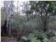 1062 Lottah Road, Lottah TAS 7216