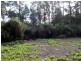 1062 Lottah Road, Lottah TAS 7216