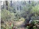 1062 Lottah Road, Lottah TAS 7216