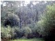 1062 Lottah Road, Lottah TAS 7216
