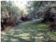 1062 Lottah Road, Lottah TAS 7216