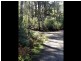 1062 Lottah Road, Lottah TAS 7216
